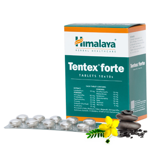Potenzmittel Tentex Forte